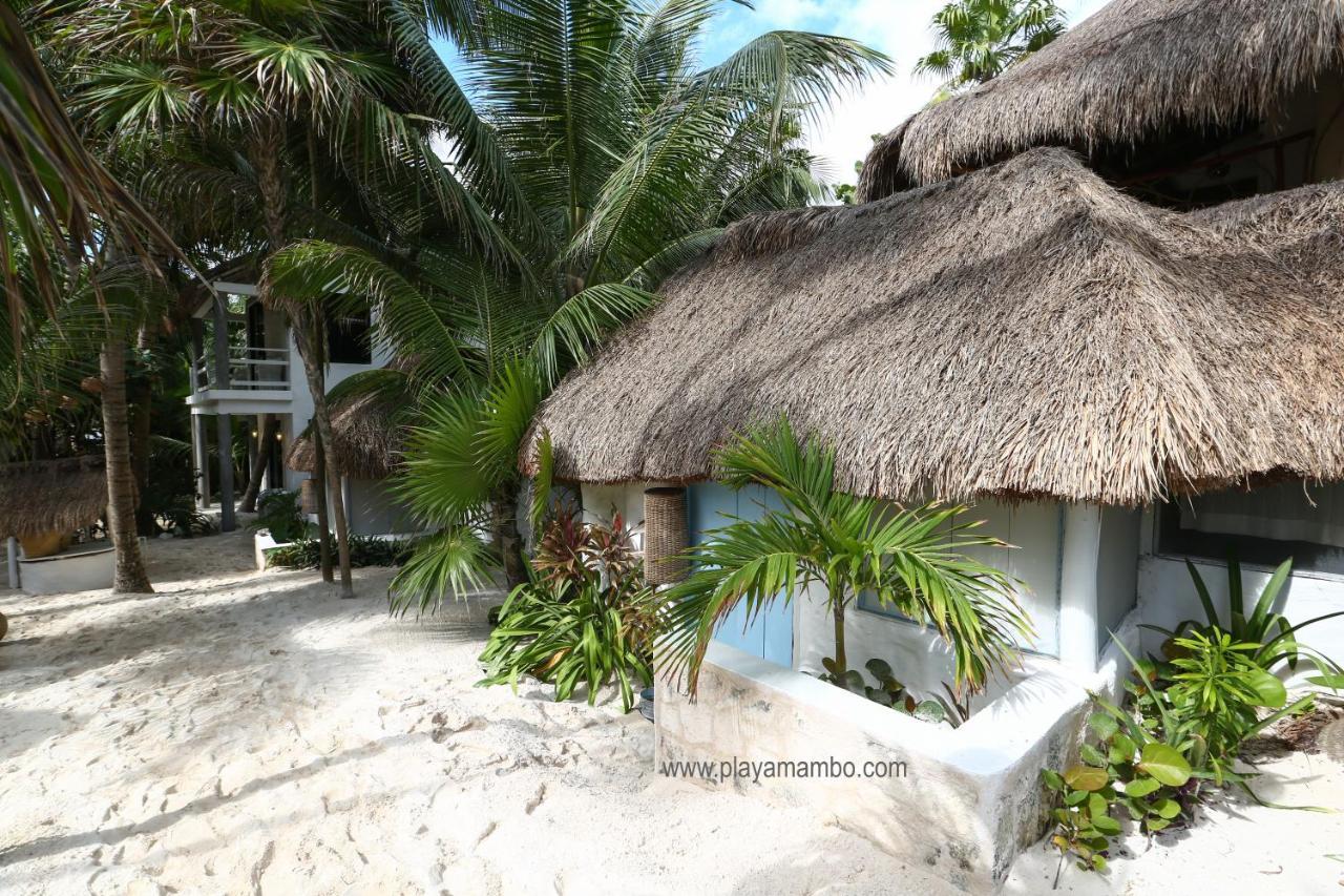 Playa Mambo Eco Cabanas Hotel ตูลุม ภายนอก รูปภาพ