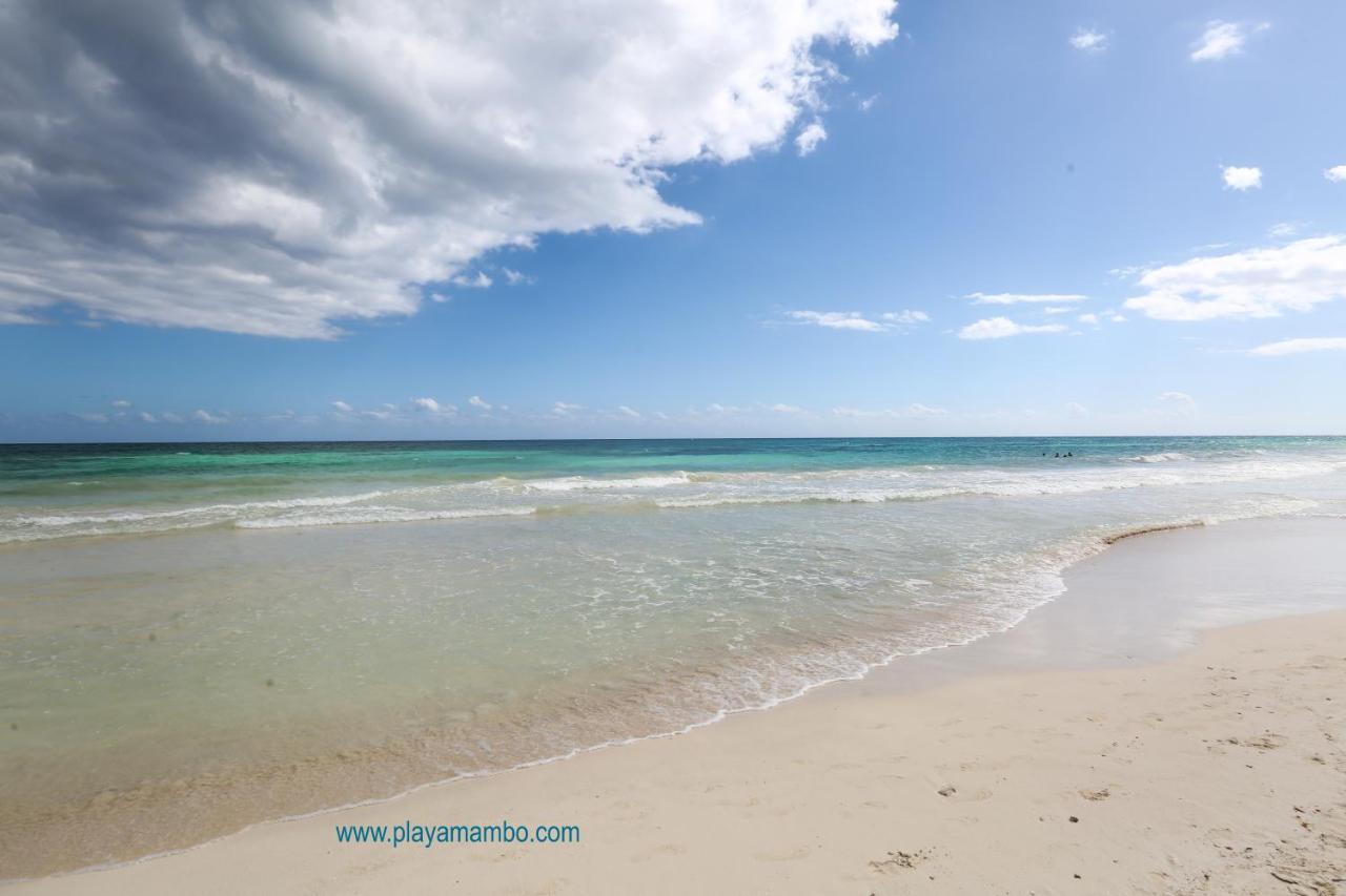 Playa Mambo Eco Cabanas Hotel ตูลุม ภายนอก รูปภาพ