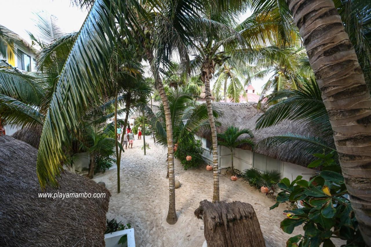 Playa Mambo Eco Cabanas Hotel ตูลุม ภายนอก รูปภาพ